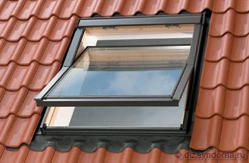 ��� ����� ������ ����������� ���� � ������